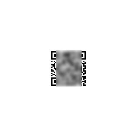 画像 15