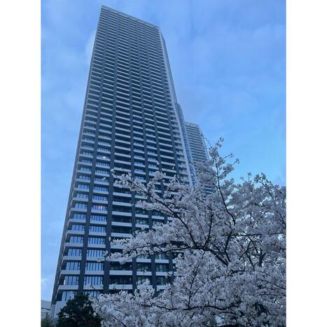 ドゥ・トゥール