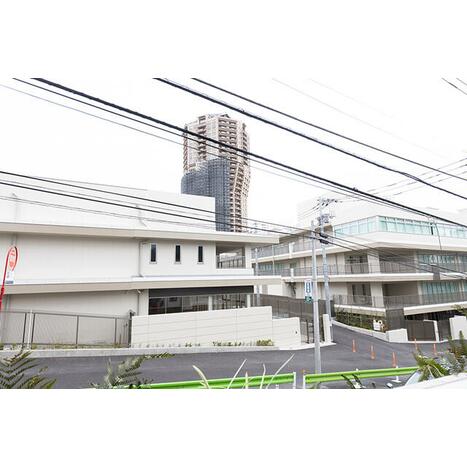 画像 11