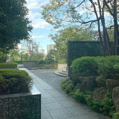 画像 15