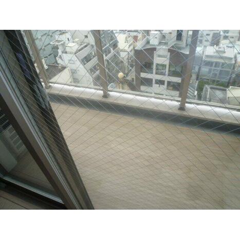 画像 9