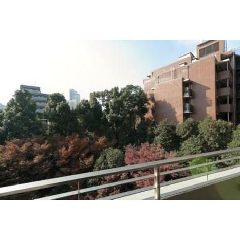 画像 14