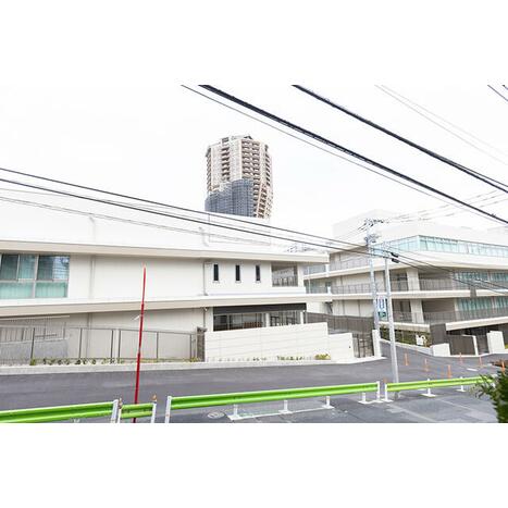 画像 11