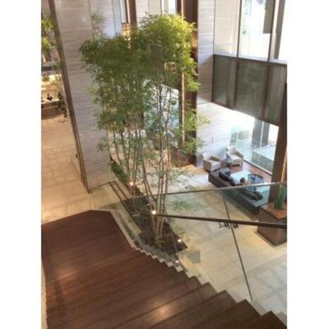 物件画像 5