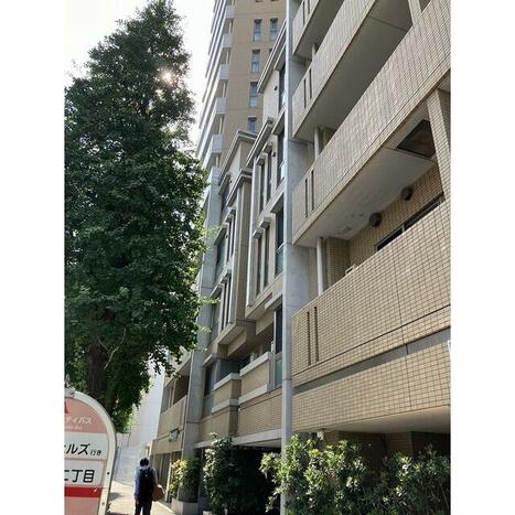 画像 2