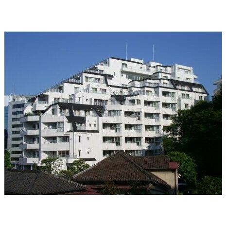 画像 8